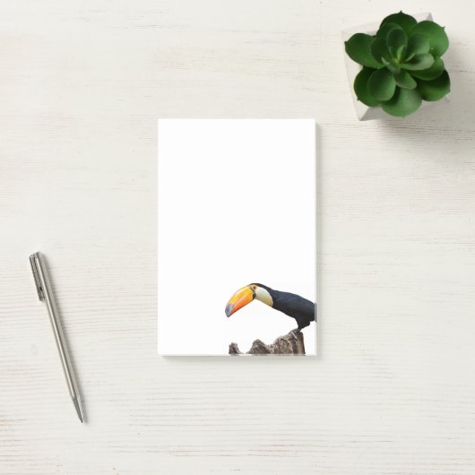 Toucan Post-it Klebezettel (Büro)