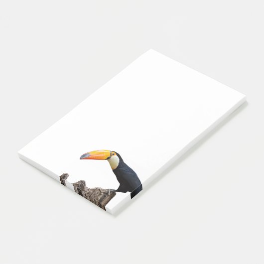 Toucan Post-it Klebezettel (angewinkelt)
