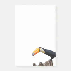 Toucan Post-it Klebezettel