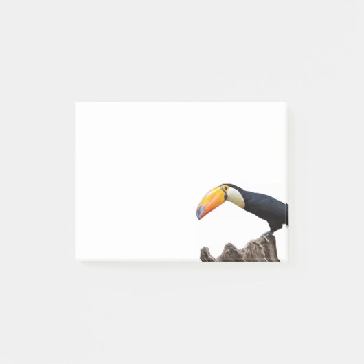 Toucan Post-it Klebezettel (Vorderseite)