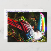Toucan Postcard Postkarte (Vorne/Hinten)