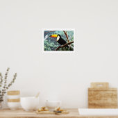 Toucan Poster (Küche)