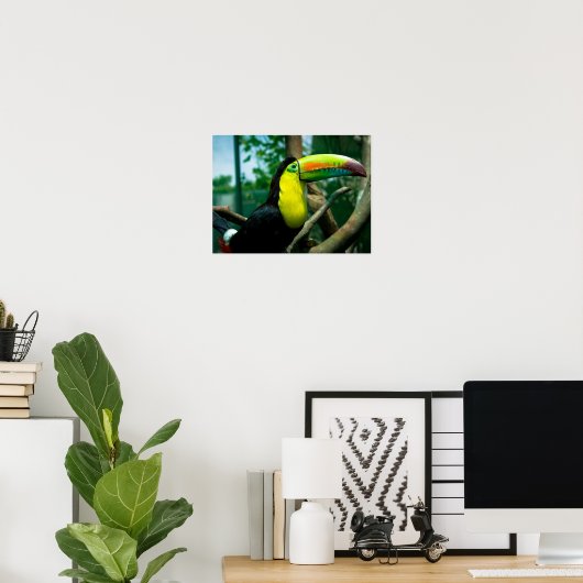 Toucan Poster (Heimbüro)