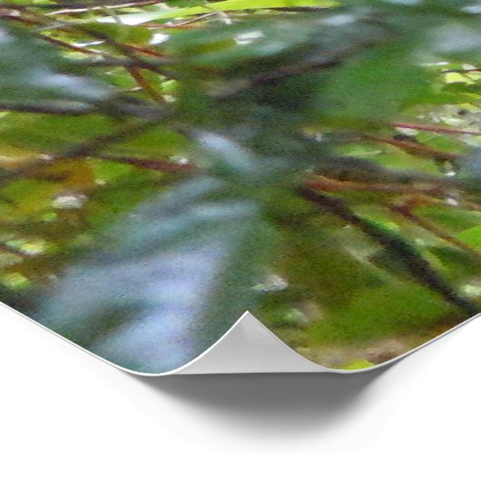 Toucan Poster (Ecke)