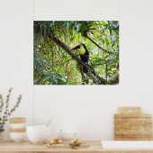 Toucan Poster (Küche)