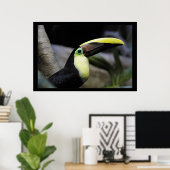 Toucan Poster (Heimbüro)