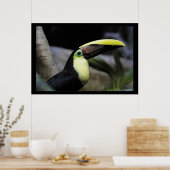 Toucan Poster (Küche)