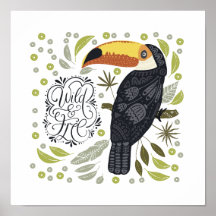 Toucan Posters
