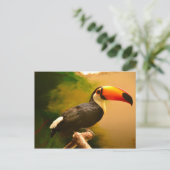 Toucan Postkarte (Stehend Vorderseite)