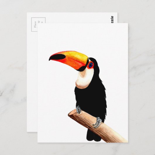 Toucan Postkarte (Vorne/Hinten)
