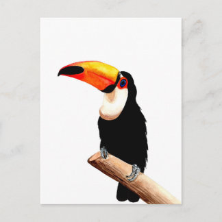 Toucan Postkarte