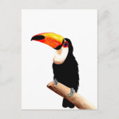 Toucan Postkarte (Vorderseite)
