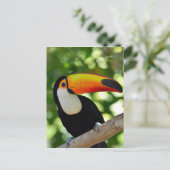 Toucan Postkarte (Stehend Vorderseite)