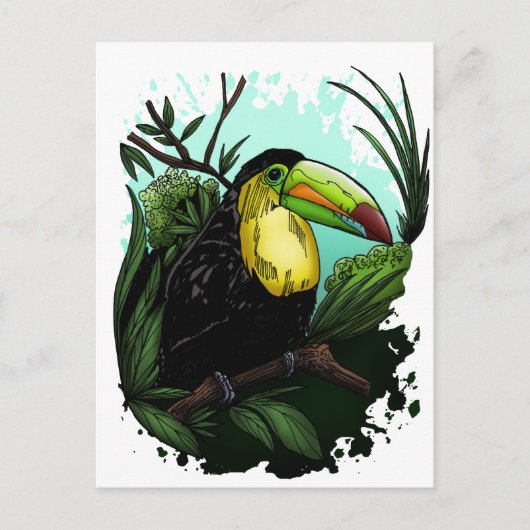 Toucan Postkarte (Vorderseite)