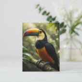 Toucan Postkarte (Stehend Vorderseite)