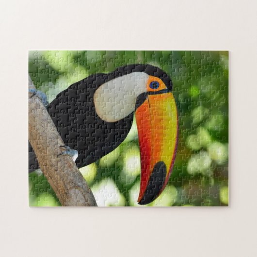 Toucan Puzzle (Horizontal)