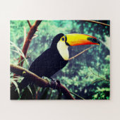 Toucan Puzzle (Horizontal)