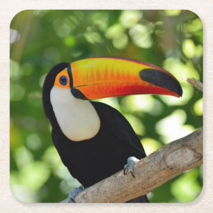 Toucan Rechteckiger Pappuntersetzer