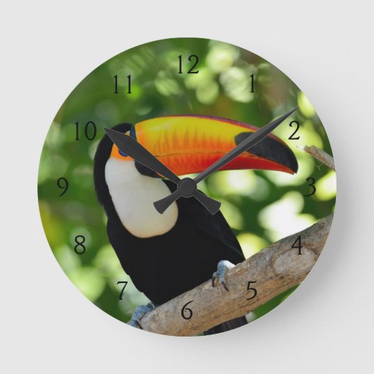 Toucan Runde Wanduhr (Vorderseite)