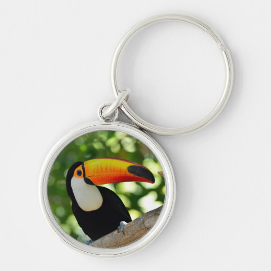 Toucan Schlüsselanhänger (Vorne)