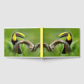 Toucan sitzt auf dem Ast im Wald Gästebuch (Voll)