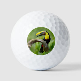 Toucan sitzt auf dem Ast im Wald Golfball