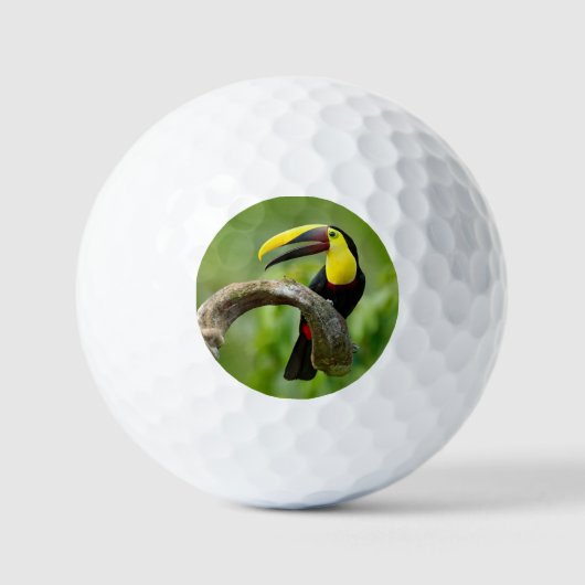 Toucan sitzt auf dem Ast im Wald Golfball (Vorderseite)