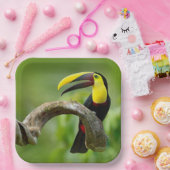 Toucan sitzt auf dem Ast im Wald Pappteller (Party)