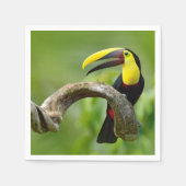 Toucan sitzt auf dem Ast im Wald Serviette (Vorderseite)