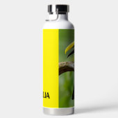 Toucan sitzt auf dem Ast im Wald Trinkflasche (Rechts)