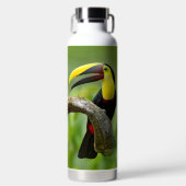 Toucan sitzt auf dem Ast im Wald Trinkflasche (Vorderseite)