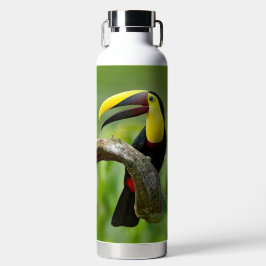 Toucan sitzt auf dem Ast im Wald Trinkflasche