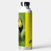 Toucan sitzt auf dem Ast im Wald Trinkflasche (links)