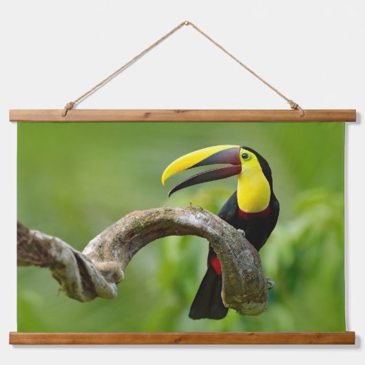 Toucan sitzt auf dem Ast im Wald Wandteppich Mit Holzrahmen (Vorne)