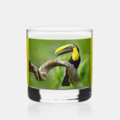 Toucan sitzt auf dem Ast im Wald Whiskyglas (Vorderseite)