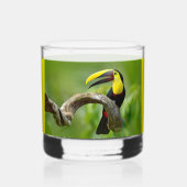 Toucan sitzt auf dem Ast im Wald Whiskyglas (Rückseite)