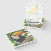 Toucan Steinuntersetzer (Seitenansicht)