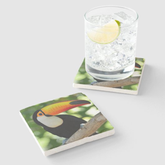 Toucan Steinuntersetzer (Seitenansicht)