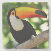 Toucan Steinuntersetzer (Vorderseite)