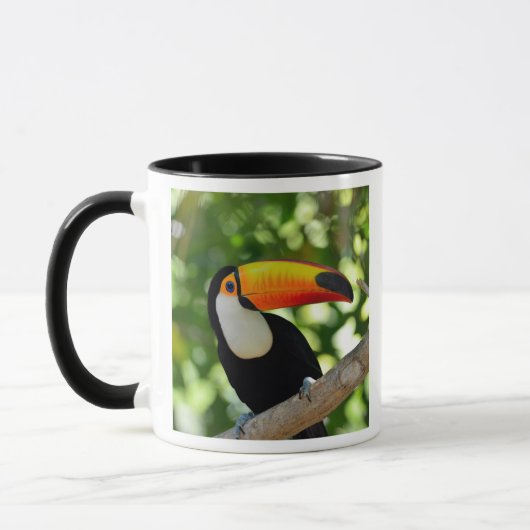 Toucan Tasse (Links)