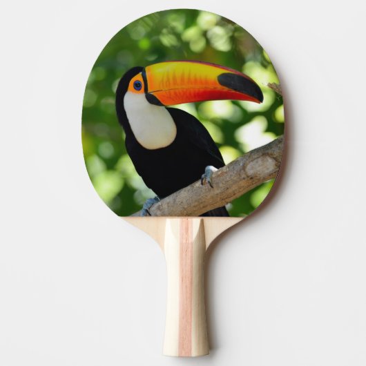 Toucan Tischtennis Schläger (Vorderseite)