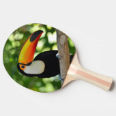 Toucan Tischtennis Schläger (Seitenansicht)