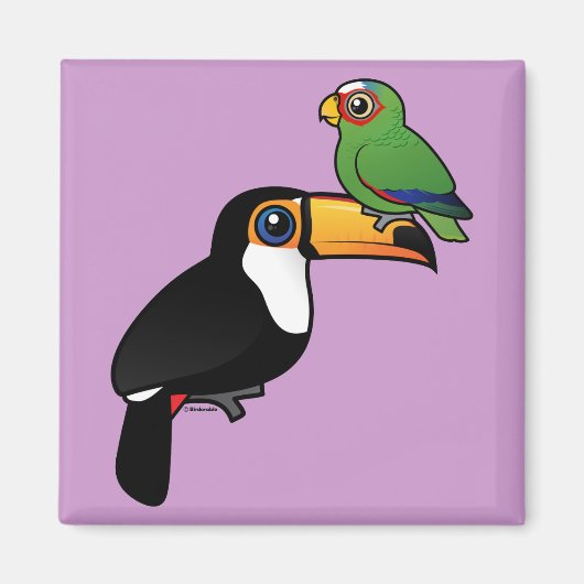 Toucan Tower Magnet (Vorne)