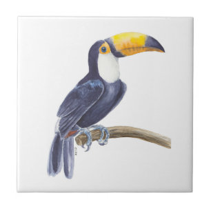 Toucan, tropischer Vogel Fliese