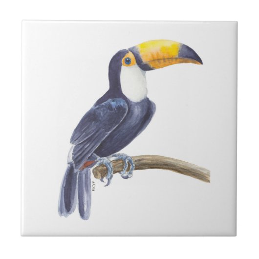 Toucan, tropischer Vogel Fliese (Vorderseite)