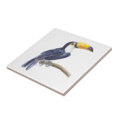 Toucan, tropischer Vogel Fliese (Seite)