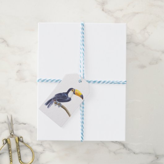 Toucan, tropischer Vogel Geschenkanhänger (Mit Garn)