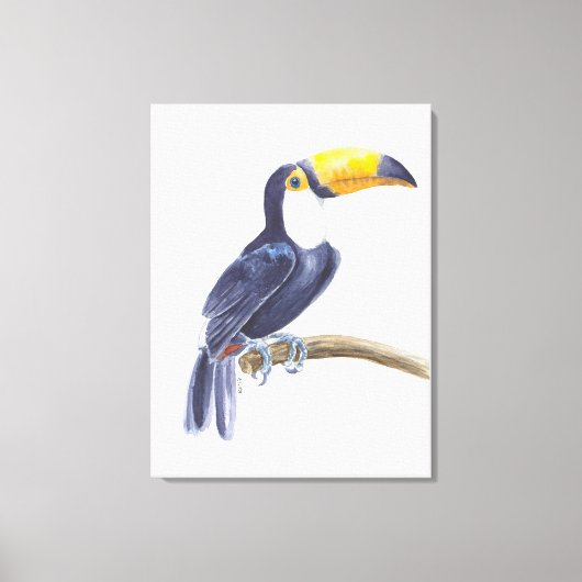 Toucan, tropischer Vogel Leinwanddruck (Vorderseite)