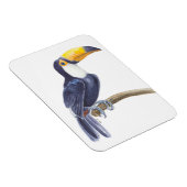 Toucan, tropischer Vogel Magnet (Rechte Seite)