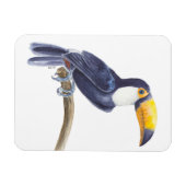Toucan, tropischer Vogel Magnet (Horizontal)